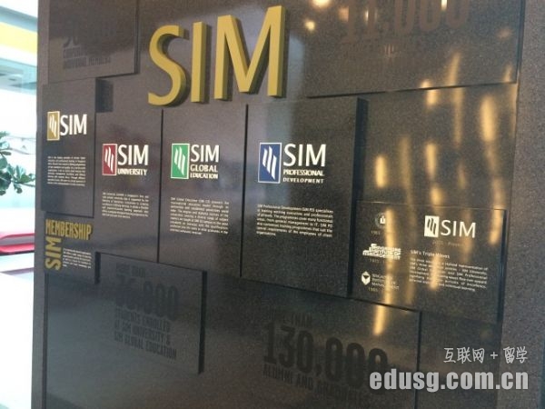 ڶ¼SIM